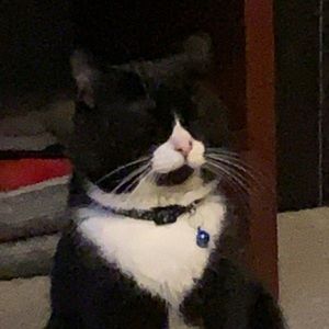 Meet your Posher, Luke